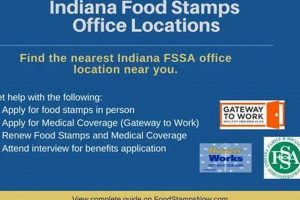 New Albany, IN Food Stamps: Apply &amp; Get Help! | World’s Most Delicious Foods: Must-Try Dishes from Every Country