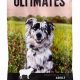 The Ultimate Guide: Ultimates Dog Food Benefits Now! | World’s Most Delicious Foods: Must-Try Dishes from Every Country