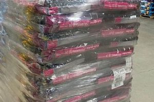 Bulk Dog Food by the Pallet: Savings & Storage Tips World’s Most Delicious Foods: Must-Try Dishes from Every Country Bulk Dog Food by the Pallet: Savings & Storage Tips | World’s Most Delicious Foods: Must-Try Dishes from Every Country