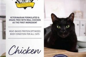 Dr. Elsey's Cat Food: The [Problem] Solution! | World’s Most Delicious Foods: Must-Try Dishes from Every Country