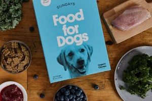 Try Sundays Dog Food Sample: Is It Right For Your Dog? World’s Most Delicious Foods: Must-Try Dishes from Every Country Try Sundays Dog Food Sample: Is It Right For Your Dog? | World’s Most Delicious Foods: Must-Try Dishes from Every Country