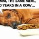 Why Do Dogs Get Tired of Their Food? Tips &amp; Solutions | World’s Most Delicious Foods: Must-Try Dishes from Every Country