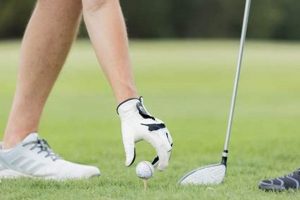 Fuel Your Game: Best Food to Eat While Golfing for Peak Performance World’s Most Delicious Foods: Must-Try Dishes from Every Country Fuel Your Game: Best Food to Eat While Golfing for Peak Performance | World’s Most Delicious Foods: Must-Try Dishes from Every Country