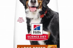 Best Large Dog Food: Fueling Your Big Breed's Health World’s Most Delicious Foods: Must-Try Dishes from Every Country Best Large Dog Food: Fueling Your Big Breed's Health | World’s Most Delicious Foods: Must-Try Dishes from Every Country