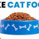 Why Dog Food Tastes Like Cat Food? The Feline Flavor Secret | World’s Most Delicious Foods: Must-Try Dishes from Every Country