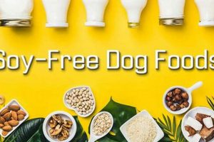 Best Soy Free Dog Food for Happy, Healthy Dogs! World’s Most Delicious Foods: Must-Try Dishes from Every Country Best Soy Free Dog Food for Happy, Healthy Dogs! | World’s Most Delicious Foods: Must-Try Dishes from Every Country