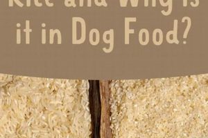 Is Brewers Rice Good in Dog Food? What to Know World’s Most Delicious Foods: Must-Try Dishes from Every Country Is Brewers Rice Good in Dog Food? What to Know | World’s Most Delicious Foods: Must-Try Dishes from Every Country