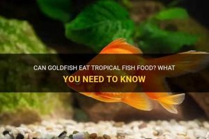 Goldfish Grub: Can a Goldfish Eat Tropical Fish Food? [Guide] | World’s Most Delicious Foods: Must-Try Dishes from Every Country