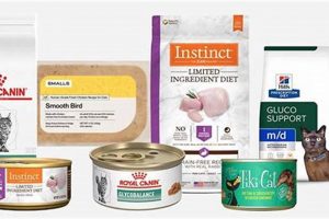 Best Over the Counter Diabetic Cat Food: Diet Guide World’s Most Delicious Foods: Must-Try Dishes from Every Country Best Over the Counter Diabetic Cat Food: Diet Guide | World’s Most Delicious Foods: Must-Try Dishes from Every Country
