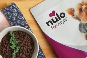 Nulo Dog Food: Is Discontinued Status Confirmed? (2024) | World’s Most Delicious Foods: Must-Try Dishes from Every Country