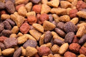 Guide: Best Food for a Standard Poodle | Top Picks World’s Most Delicious Foods: Must-Try Dishes from Every Country Guide: Best Food for a Standard Poodle | Top Picks | World’s Most Delicious Foods: Must-Try Dishes from Every Country