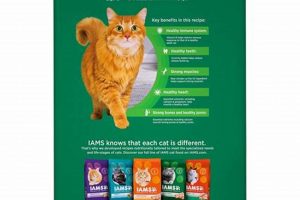 Decoding: Green Bag Cat Food Choices - Is It Best? World’s Most Delicious Foods: Must-Try Dishes from Every Country Decoding: Green Bag Cat Food Choices - Is It Best? | World’s Most Delicious Foods: Must-Try Dishes from Every Country