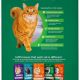 Decoding: Green Bag Cat Food Choices - Is It Best? | World’s Most Delicious Foods: Must-Try Dishes from Every Country