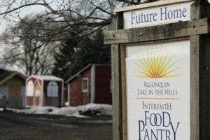 Your Local Lith Food Pantry: Help & Support | World’s Most Delicious Foods: Must-Try Dishes from Every Country