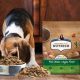 Dog Food Dilemma: Is Nutrish Good For Dogs? [Review] | World’s Most Delicious Foods: Must-Try Dishes from Every Country
