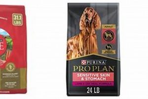 Top-Rated: Best Lamb Dog Food for Allergies - Guide! World’s Most Delicious Foods: Must-Try Dishes from Every Country Top-Rated: Best Lamb Dog Food for Allergies - Guide! | World’s Most Delicious Foods: Must-Try Dishes from Every Country