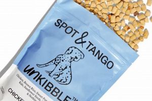 Spot & Tango Dog Food: Personalized Nutrition Guide | World’s Most Delicious Foods: Must-Try Dishes from Every Country