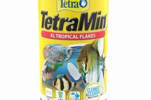 Best Tetra Fish Food Flakes: Nutrition & Care Tips | World’s Most Delicious Foods: Must-Try Dishes from Every Country