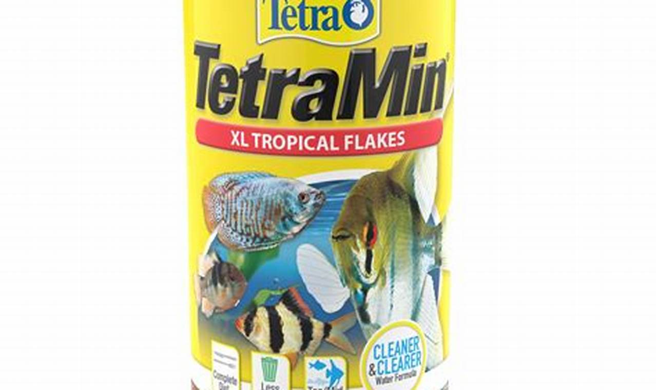 Best Tetra Fish Food Flakes: Nutrition & Care Tips World’s Most Delicious Foods: Must-Try Dishes from Every Country Best Tetra Fish Food Flakes: Nutrition & Care Tips | World’s Most Delicious Foods: Must-Try Dishes from Every Country
