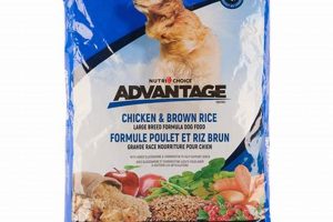 Best Advantage Dog Food: Nourish Your Canine World’s Most Delicious Foods: Must-Try Dishes from Every Country Best Advantage Dog Food: Nourish Your Canine | World’s Most Delicious Foods: Must-Try Dishes from Every Country