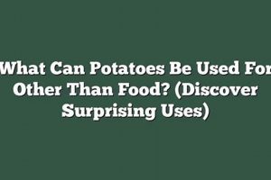 Beyond Fries: What Can Potatoes Be Used For Other Than Food? World’s Most Delicious Foods: Must-Try Dishes from Every Country Beyond Fries: What Can Potatoes Be Used For Other Than Food? | World’s Most Delicious Foods: Must-Try Dishes from Every Country