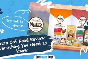 Honest Nutro Cat Food Review: Is It Right For Your Cat? World’s Most Delicious Foods: Must-Try Dishes from Every Country Honest Nutro Cat Food Review: Is It Right For Your Cat? | World’s Most Delicious Foods: Must-Try Dishes from Every Country
