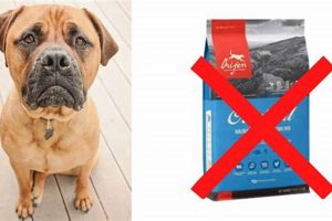 Is Orijen Dog Food Bad? + Problems & Alternatives | World’s Most Delicious Foods: Must-Try Dishes from Every Country