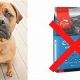 Is Orijen Dog Food Bad? + Problems & Alternatives | World’s Most Delicious Foods: Must-Try Dishes from Every Country