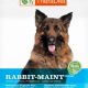 The Ultimate Rayne Rabbit Dog Food Guide for Allergy Relief | World’s Most Delicious Foods: Must-Try Dishes from Every Country
