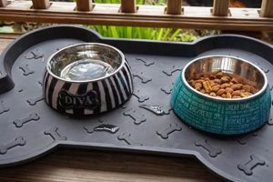 Best Dog Food Trays: Convenient Meals for Your Pup! | World’s Most Delicious Foods: Must-Try Dishes from Every Country