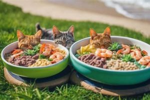 Best Surf and Turf Cat Food: Your Cat's Dream Dish! | World’s Most Delicious Foods: Must-Try Dishes from Every Country