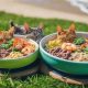 Best Surf and Turf Cat Food: Your Cat's Dream Dish! | World’s Most Delicious Foods: Must-Try Dishes from Every Country