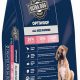 Advanced Dog Food Ultra: Benefits & Buying Guide | World’s Most Delicious Foods: Must-Try Dishes from Every Country
