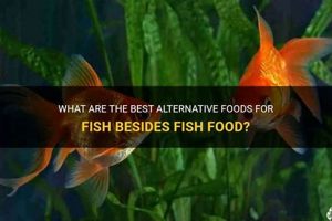 Beyond Fish Food: What ELSE Can Fish Eat Safely? World’s Most Delicious Foods: Must-Try Dishes from Every Country Beyond Fish Food: What ELSE Can Fish Eat Safely? | World’s Most Delicious Foods: Must-Try Dishes from Every Country