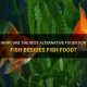Beyond Fish Food: What ELSE Can Fish Eat Safely? | World’s Most Delicious Foods: Must-Try Dishes from Every Country