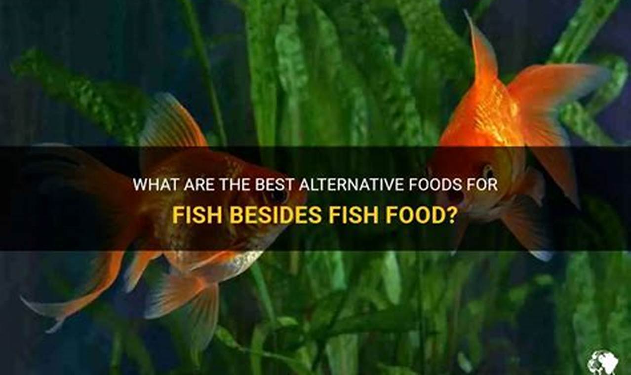 Beyond Fish Food: What ELSE Can Fish Eat Safely? World’s Most Delicious Foods: Must-Try Dishes from Every Country Beyond Fish Food: What ELSE Can Fish Eat Safely? | World’s Most Delicious Foods: Must-Try Dishes from Every Country