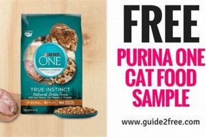 Get Free Cat Food Samples Now: Deals & Trials! World’s Most Delicious Foods: Must-Try Dishes from Every Country Get Free Cat Food Samples Now: Deals & Trials! | World’s Most Delicious Foods: Must-Try Dishes from Every Country