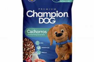Best Champion Dog Food: Reviews & Options for Your Dog World’s Most Delicious Foods: Must-Try Dishes from Every Country Best Champion Dog Food: Reviews & Options for Your Dog | World’s Most Delicious Foods: Must-Try Dishes from Every Country