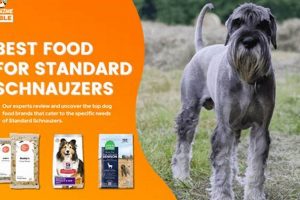 Top Rated: Best Dog Food for Schnauzers in 2024! World’s Most Delicious Foods: Must-Try Dishes from Every Country Top Rated: Best Dog Food for Schnauzers in 2024! | World’s Most Delicious Foods: Must-Try Dishes from Every Country