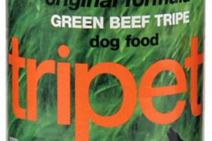 Is Beef Tripe Dog Food Good? Health & Expert Tips World’s Most Delicious Foods: Must-Try Dishes from Every Country Is Beef Tripe Dog Food Good? Health & Expert Tips | World’s Most Delicious Foods: Must-Try Dishes from Every Country