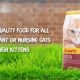 Best Kitten Food for Nursing Cats: Queen & Kits Thrive! | World’s Most Delicious Foods: Must-Try Dishes from Every Country