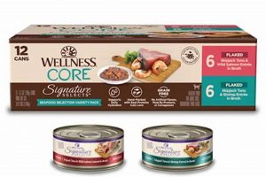 Best Wellness Core Canned Cat Food: Benefits & More World’s Most Delicious Foods: Must-Try Dishes from Every Country Best Wellness Core Canned Cat Food: Benefits & More | World’s Most Delicious Foods: Must-Try Dishes from Every Country