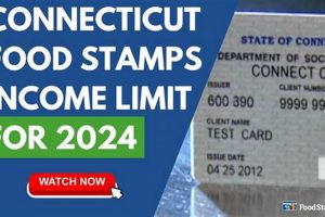 CT Food Stamps: 2024 Income Guidelines & Eligibility World’s Most Delicious Foods: Must-Try Dishes from Every Country CT Food Stamps: 2024 Income Guidelines & Eligibility | World’s Most Delicious Foods: Must-Try Dishes from Every Country