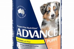 Why Advance Dog Food Matters: Your Ultimate Guide World’s Most Delicious Foods: Must-Try Dishes from Every Country Why Advance Dog Food Matters: Your Ultimate Guide | World’s Most Delicious Foods: Must-Try Dishes from Every Country