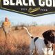 Best Explorer Dog Food: Fuel Your Pup's Adventures | World’s Most Delicious Foods: Must-Try Dishes from Every Country