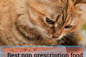 Best Non-Prescription Food for Diabetic Cats Guide World’s Most Delicious Foods: Must-Try Dishes from Every Country Best Non-Prescription Food for Diabetic Cats Guide | World’s Most Delicious Foods: Must-Try Dishes from Every Country