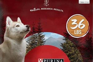 Venison Dry Dog Food: Best Diet for Sensitive Dogs? World’s Most Delicious Foods: Must-Try Dishes from Every Country Venison Dry Dog Food: Best Diet for Sensitive Dogs? | World’s Most Delicious Foods: Must-Try Dishes from Every Country