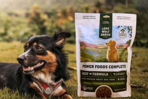 Is Chuck Norris Dog Food Good? Expert Reviews & Analysis World’s Most Delicious Foods: Must-Try Dishes from Every Country Is Chuck Norris Dog Food Good? Expert Reviews & Analysis | World’s Most Delicious Foods: Must-Try Dishes from Every Country