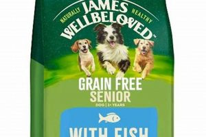 Senior Dogs: The Best Grain-Free Dog Food [Guide] | World’s Most Delicious Foods: Must-Try Dishes from Every Country