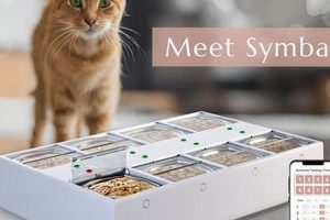 Best Refrigerated Cat Food Feeder: Keep Kitty's Food Fresh! World’s Most Delicious Foods: Must-Try Dishes from Every Country Best Refrigerated Cat Food Feeder: Keep Kitty's Food Fresh! | World’s Most Delicious Foods: Must-Try Dishes from Every Country